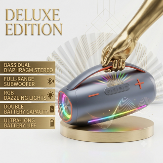 P PRO10 30W Portable Bluetooth Speaker with FM/USB/TF Support