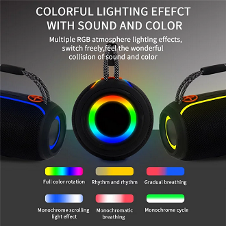 P Pro-13 Portable Wireless Bluetooth Speaker