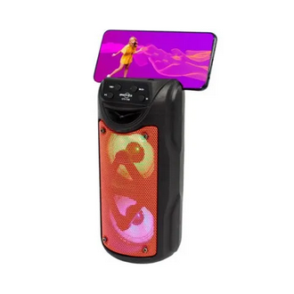 GTS 1558 Multi-Purpose Bluetooth Speaker with Built-in Battery