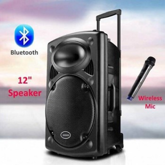 W-D12 Bluetooth Wireless Microphone & Rechargeable Functions Trolley Speakers