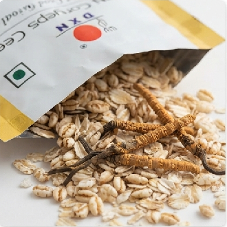DXN Cordyceps Cereal 500g–কর্ডিসেপস সমৃদ্ধ পুষ্টিকর ওটস সিরিয়াল