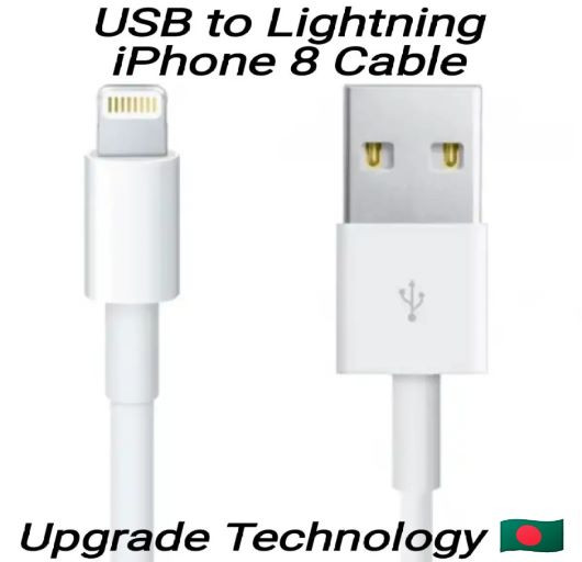 Apple Lightning to USB Charging & Data Transmission Cable