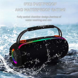 P Pro-13 Portable Wireless Bluetooth Speaker